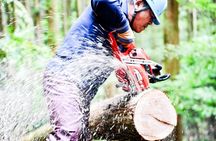 Rural Forestry Tour in Aso Minamioguni