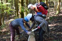 Rural Forestry Tour in Aso Minamioguni