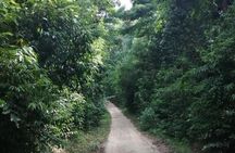 Private trip around Koh Phangan