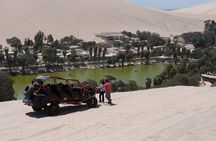 From Lima: Full Day Paracas - Huacachina