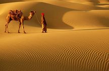 Abu Dhabi 4x4 Desert Safari BBQ Dinner , Camel Ride , Belly Dance