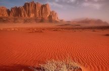 Private 7 Days Tour Explore Best of Jordan