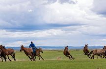 Essence of Mongolia 3 Days