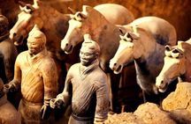 8 Days Private Tour of Beijing, Xian, and Shanghai