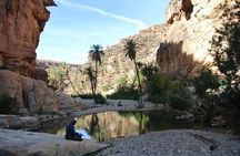 HALF-Day Wildlife Tour Through Souss Massa from Agadir