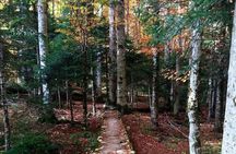 Private north Montenegro tour -Moraca River Canyon and walk trough Virgin Forest