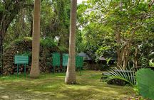 Barbados Private Custom Island Tour