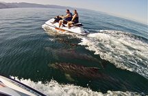 Jet Ski Safari in Puerto Vallarta