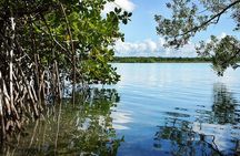 Bacalar Seven Color Lagoon and Kayak Adventure from Costa Maya