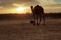 Atlas Mountains And Camel Ride Day Trip From Marrakech