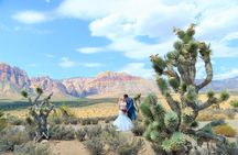 Red Rock Canyon Wedding by Private Limousine