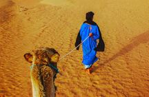 Atlas Mountains and Three Valleys & Waterfalls: Guided Day Trip From Marrakech