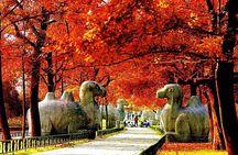 Half-Day Nanjing Purple Mountain Private Tour in Your Way