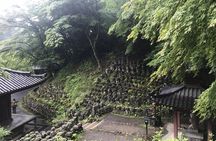 Kyoto: Descending Arashiyama (Private)