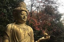 Kyoto: Descending Arashiyama (Private)