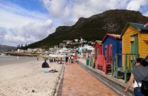 From CapeTown:TableMountain Private,Penguins&C.of Good Hope Tour 