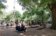 Highlights of Komodo