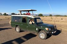 6 Days Amboseli, Lake Nakuru and Masai Mara