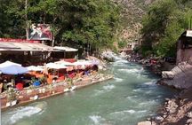Private Day Trip To Ourika Valley And Anima Garden(André Heller)