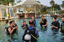 Try SCUBA Diving