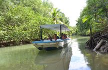 Costa Rica Mangrove Monkey Tour