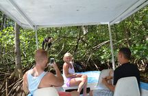 Costa Rica Mangrove Monkey Tour