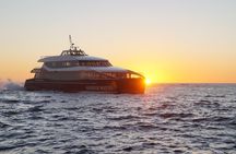 Afternoon Gordon River Dinner Cruise