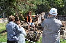 Afternoon Gordon River Dinner Cruise