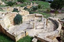 Carthage Discovery Half-Day Tour with Licensed Guide