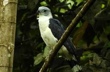 Birdwatching Tour