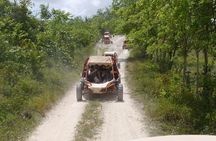 Family Buggy Adventure in Punta Cana