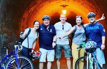 Guided Hybrid Bike Tour in Shizuoka City (Note: not e-bikes)