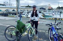 Guided Hybrid Bike Tour in Shizuoka City (Note: not e-bikes)