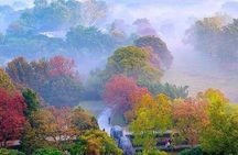 Nanjing City Private Customized Day Tour with Lunch