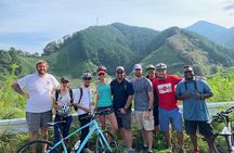 Guided Bike Tour to a Green Tea Farm in Shizuoka (not e-bikes)