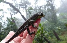 Knuckles Leopard trail Trek from Kandy