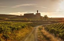 Rioja wine tour: winery & Laguardia with lunch from Vitoria 