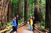Half-Day Private Tour of Muir Woods & Sausalito from San Francisco