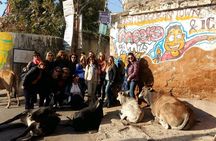  Local Sightseeing - Udaipur ," Travel With Chinmay ".