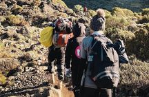Day Hike to Mount Kilimanjaro (Mandara Hut)
