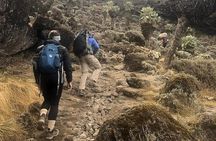 Day Hike to Mount Kilimanjaro (Mandara Hut)