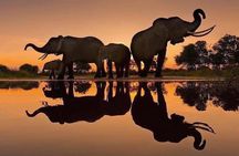 Private Day Trip to Ngorongoro Crater