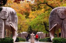 Half Day Nanjing City Private Flexible Tour with Night River Cruise