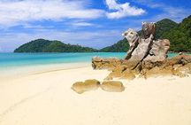 Surin Islands Snorkeling Day Trip By Love Andaman From Phuket