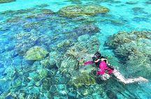 Surin Islands Snorkeling Day Trip By Love Andaman From Khao Lak