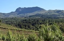 Scenic Day Trip to Aberdares National Park