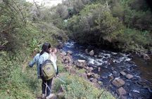 Scenic Day Trip to Aberdares National Park