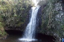 Scenic Day Trip to Aberdares National Park