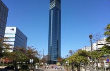 Fukuoka City walking with public transport sightseeing Tour