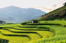 Discover the Beauty of Sa Pa: A One-Day Trek